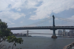 IMG_20230727_115505