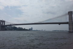 IMG_20230727_121522