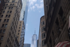 IMG_20230727_123617