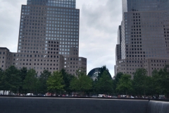 IMG_20230727_125542