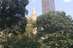 IMG_20230727_163415
