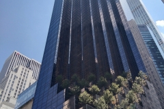 IMG_20230728_120722