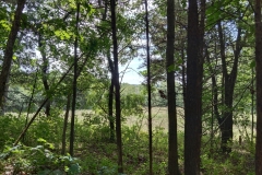 IMG_20230731_120252