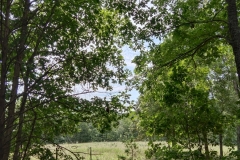 IMG_20230731_120306