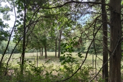 IMG_20230731_120332