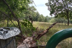 IMG_20230731_120509