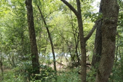 IMG_20230731_120853