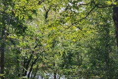 IMG_20230731_120902