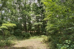 IMG_20230731_120907