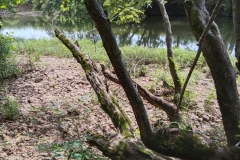 IMG_20230731_121059