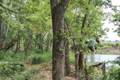 IMG_20230731_122439