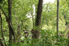 IMG_20230731_122849