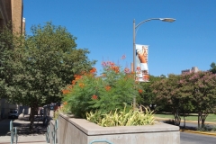 IMG_20230804_110419
